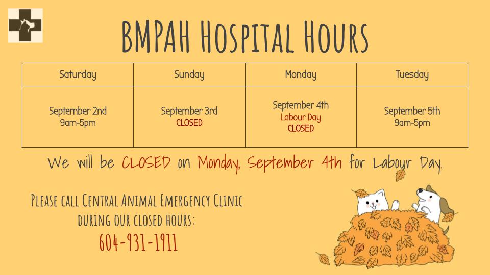 BMPAH Holiday Hours.jpg