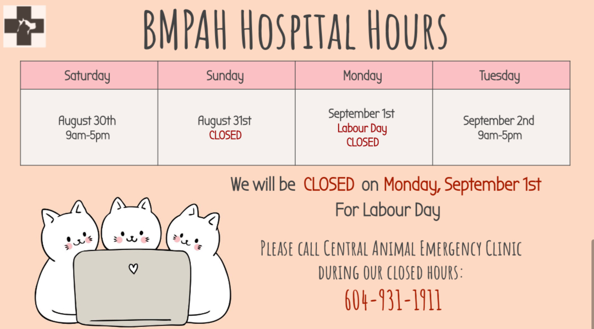 BMPAH September Schedule.jpg