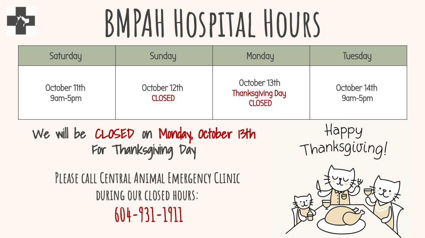 Screen Shot 2025-10-08 at 2.33.12 PM.png