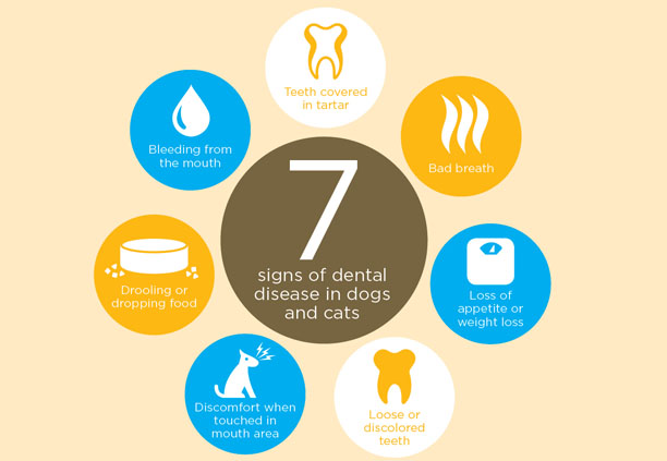 dental tips 7.jpg