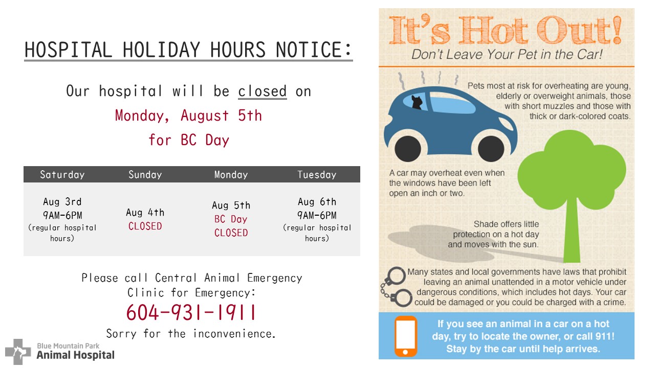 HOSPITAL HOLIDAY HOURS NOTICE.jpg