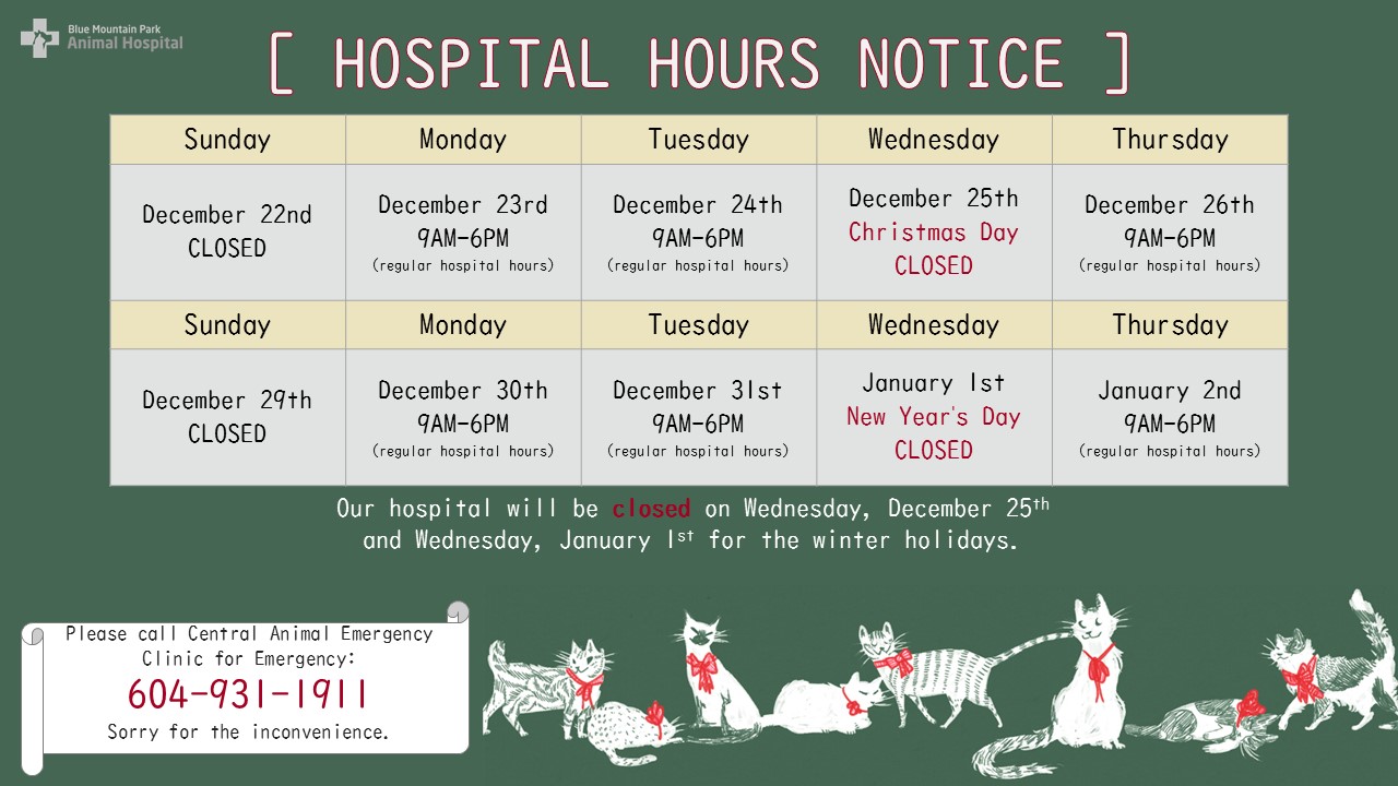 dec HOSPITAL HOLIDAY HOURS NOTICE.jpg